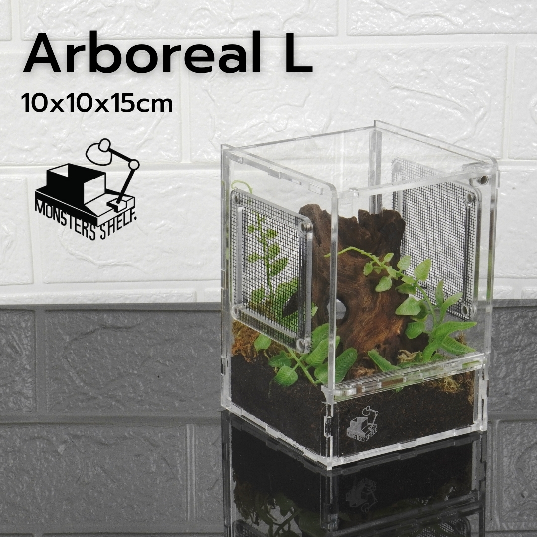 Acrylic box model Arboreal Size L Monsters Shelf